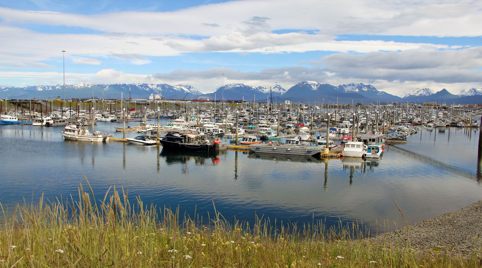 fishing boats in harbor