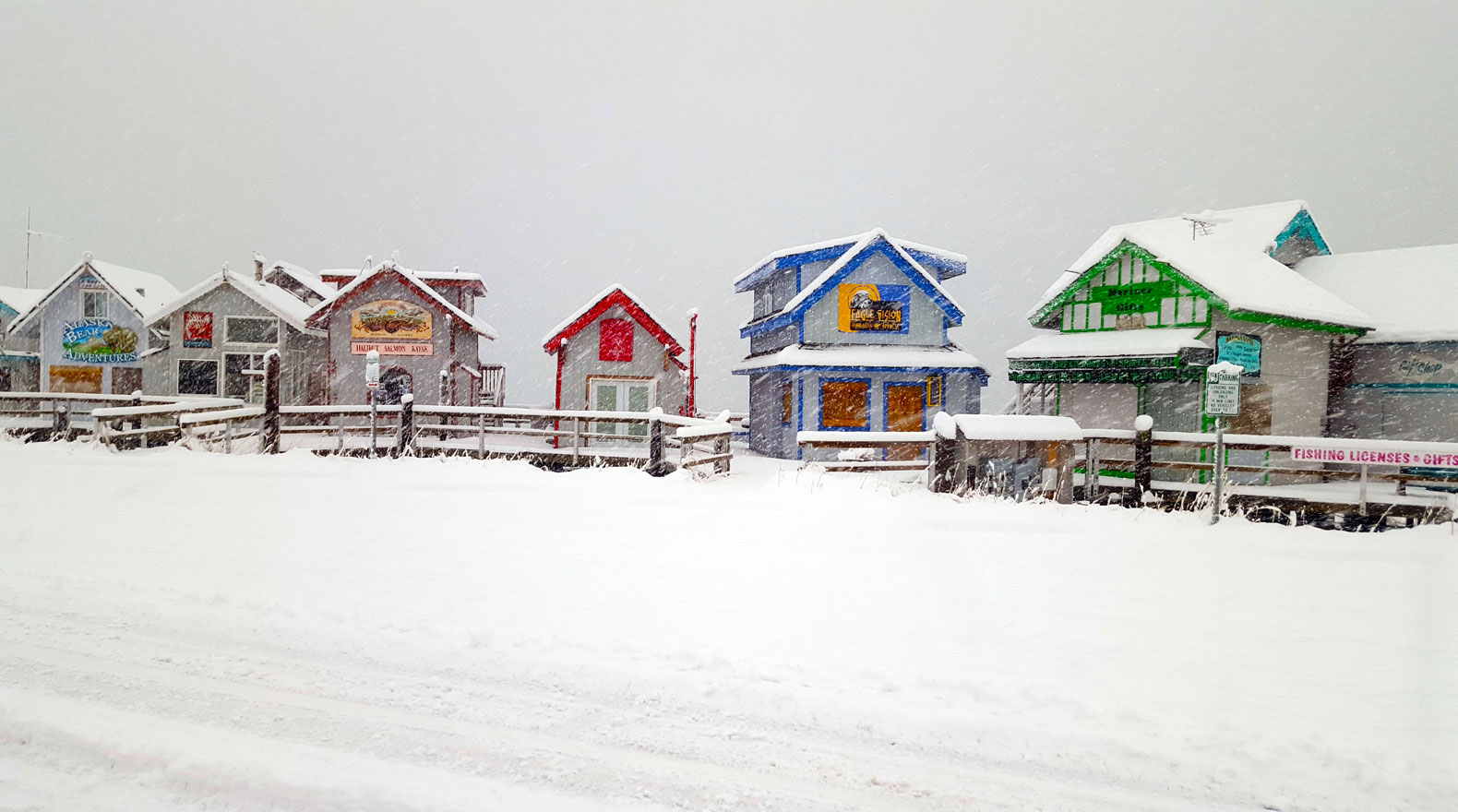 homes with snow falling