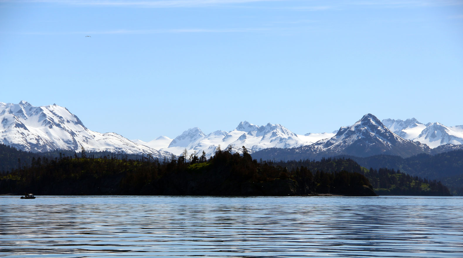 Homer Alaska mountains