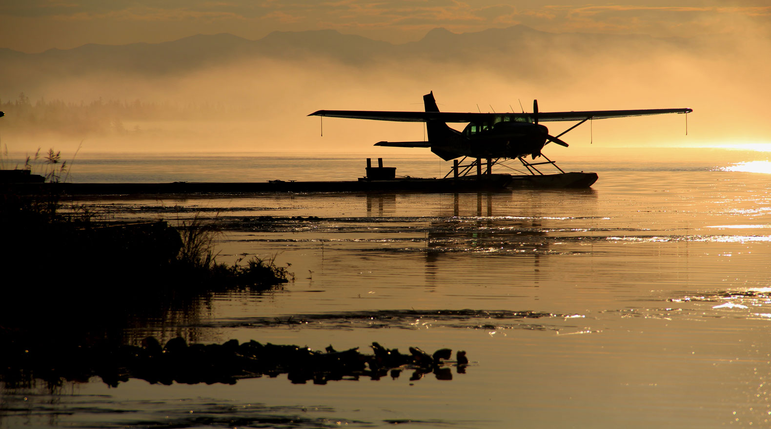 float plane on a lake