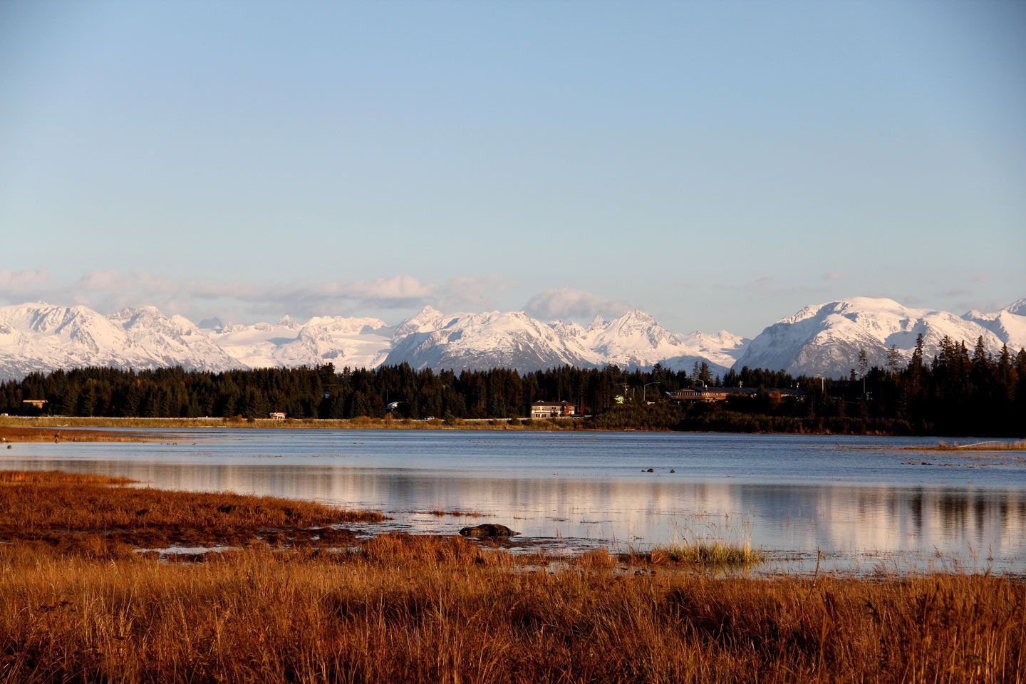 homer alaska mountains