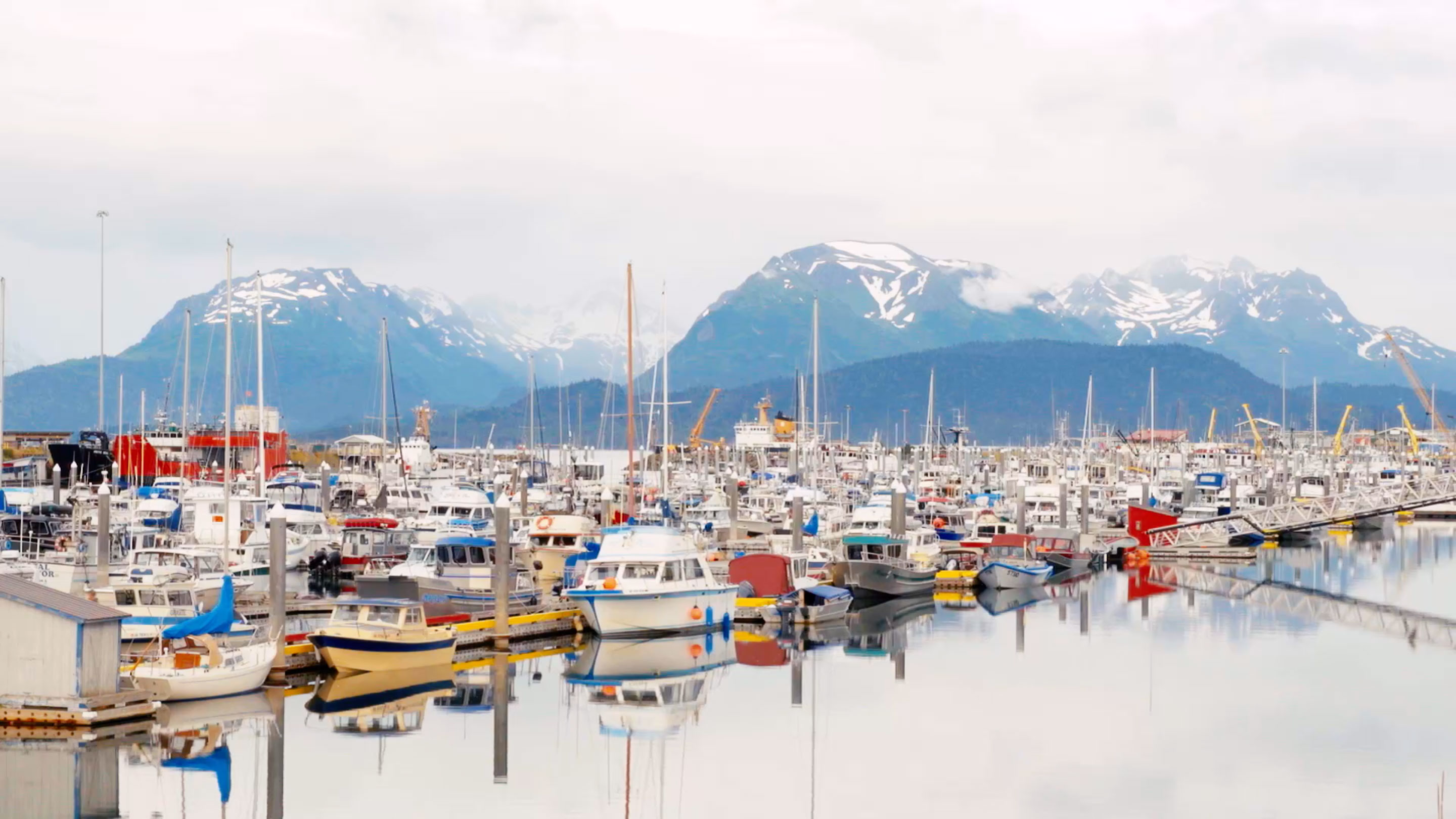 home alaska boat harbor