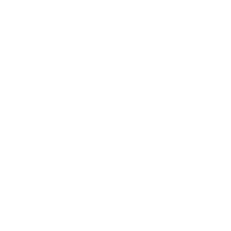 line graph icon